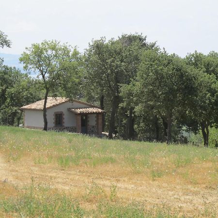 Holiday Home Il Podere Del Lago By Interhome Bolsena Exterior foto