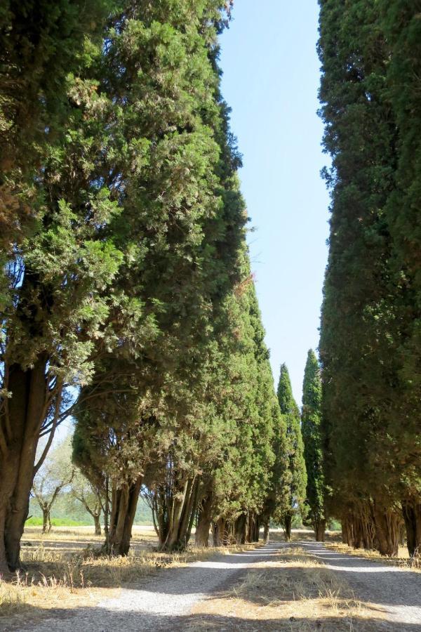 Holiday Home Il Podere Del Lago By Interhome Bolsena Exterior foto